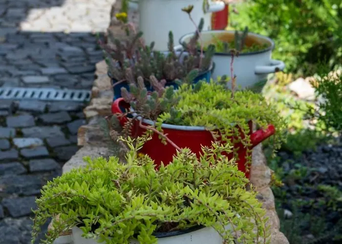 Saba Vendeghaz Daire *